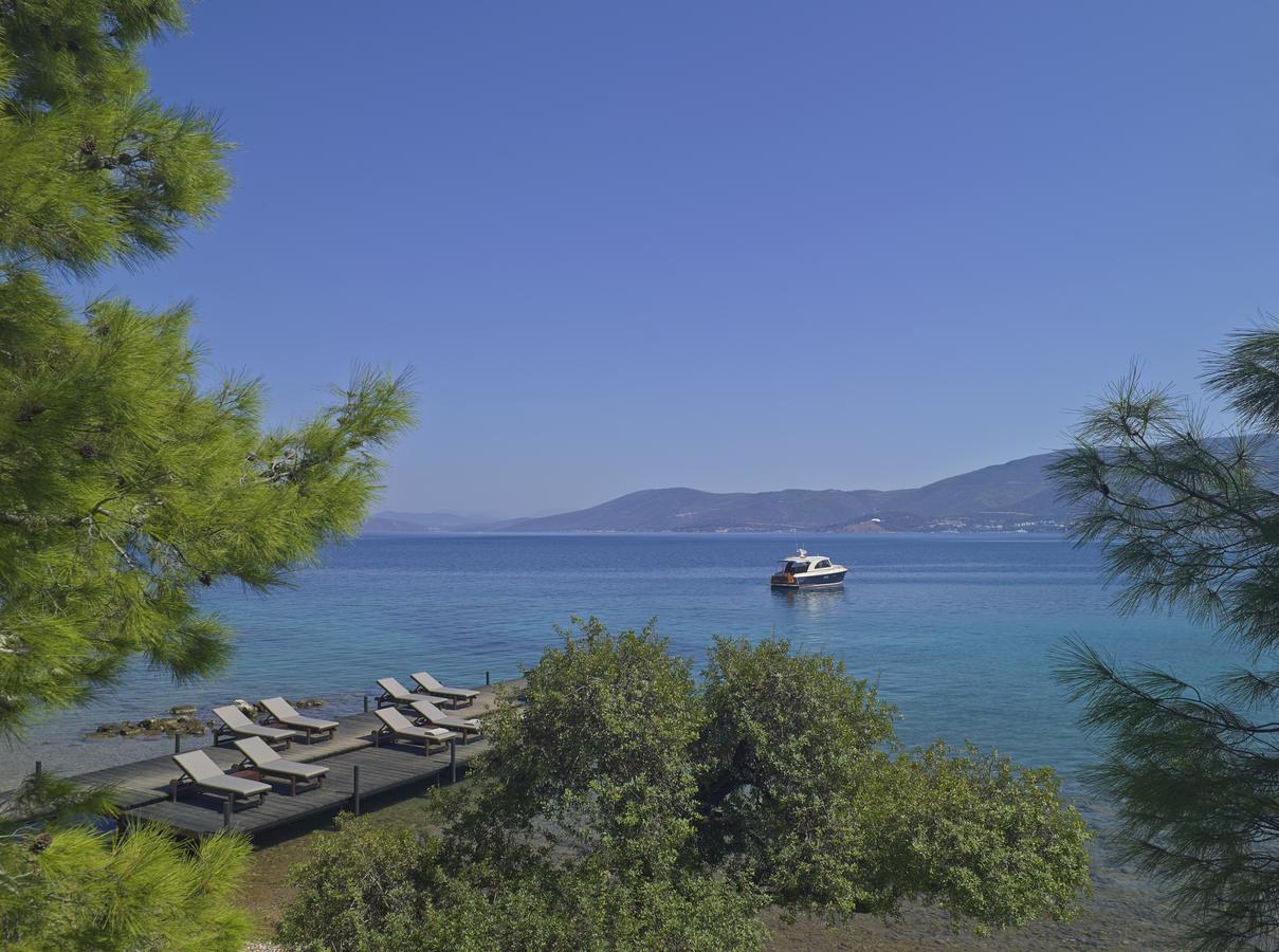 Amanruya Torba