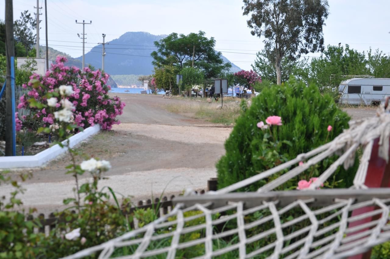 Homestay Shambala *