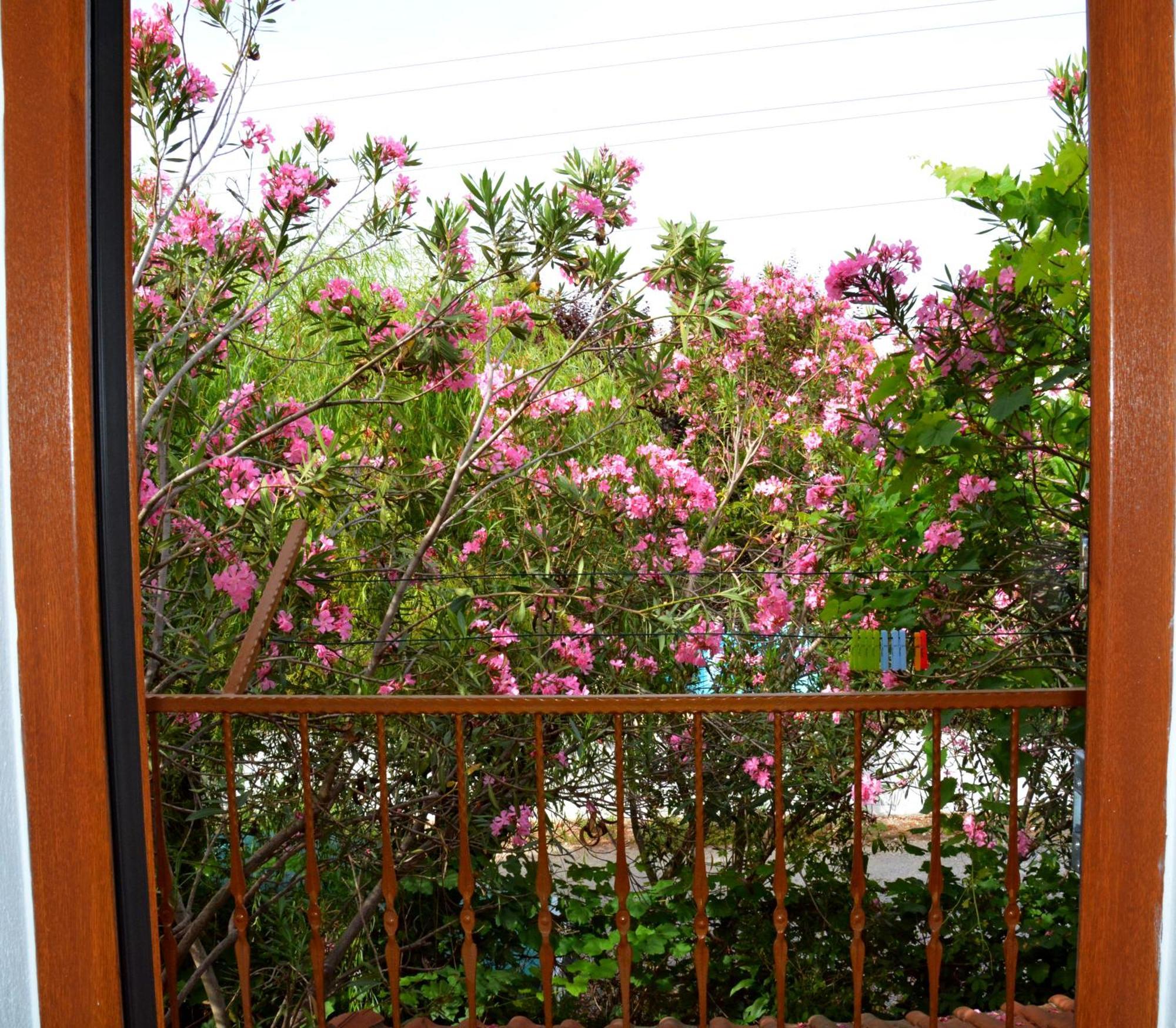 Villa Poseidon *