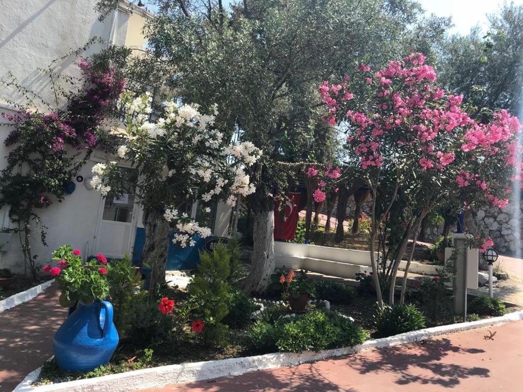 Marvel 3* Guvercinlik (Bodrum)