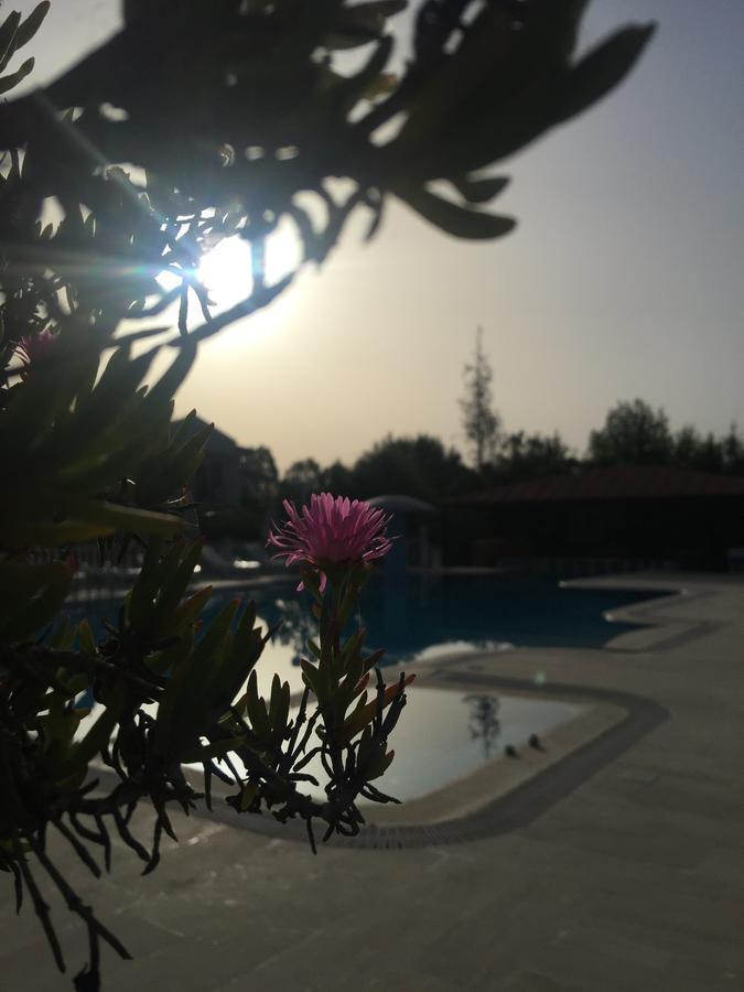 Palmiye 3* Dalyan