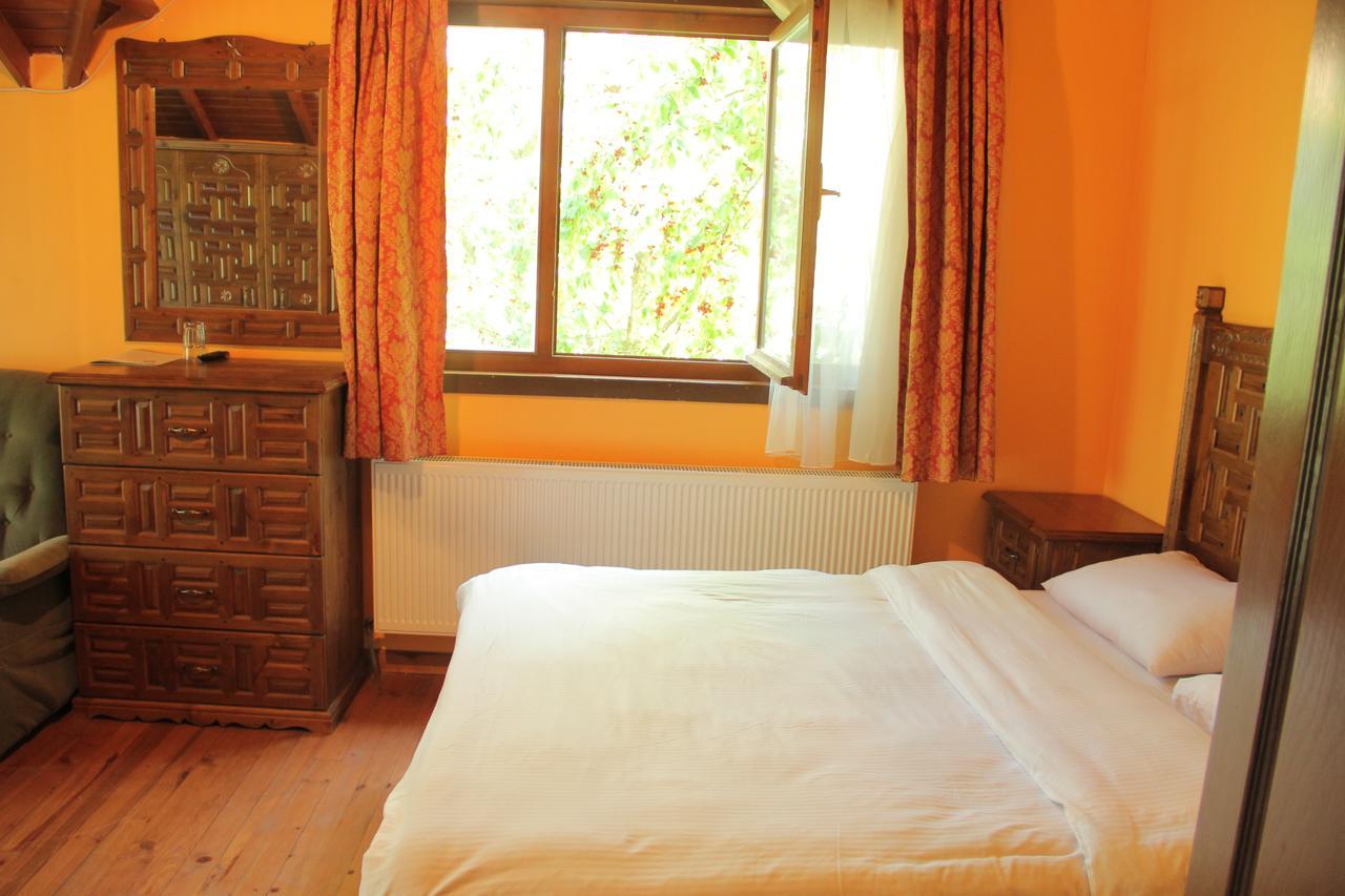 Golkoy Yasam 3* Kastamonu
