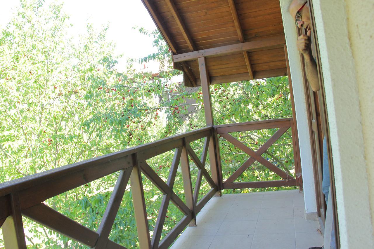 Golkoy Yasam Kastamonu