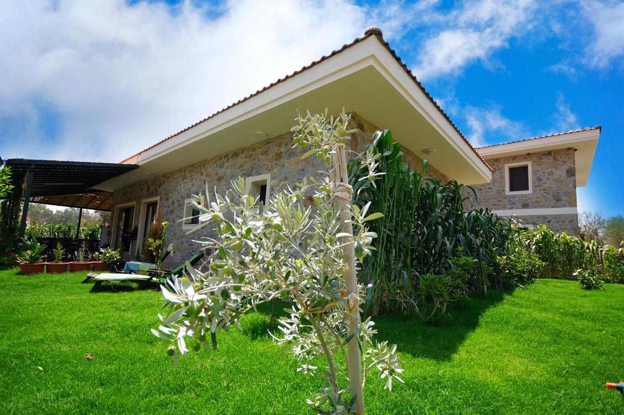 Hotel Filiz Datca