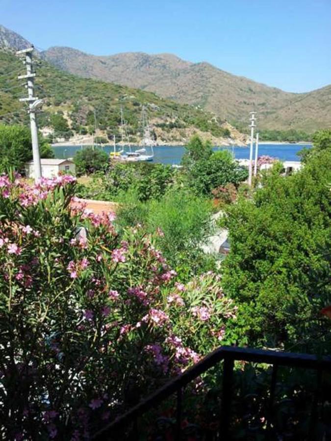 Aydeniz