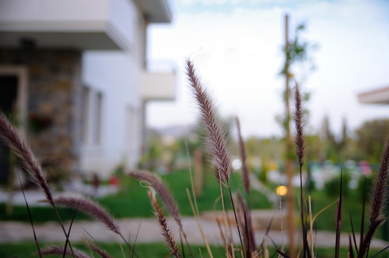 Hotel Filiz *