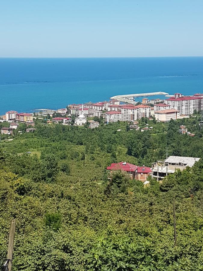 Royal Trabzon