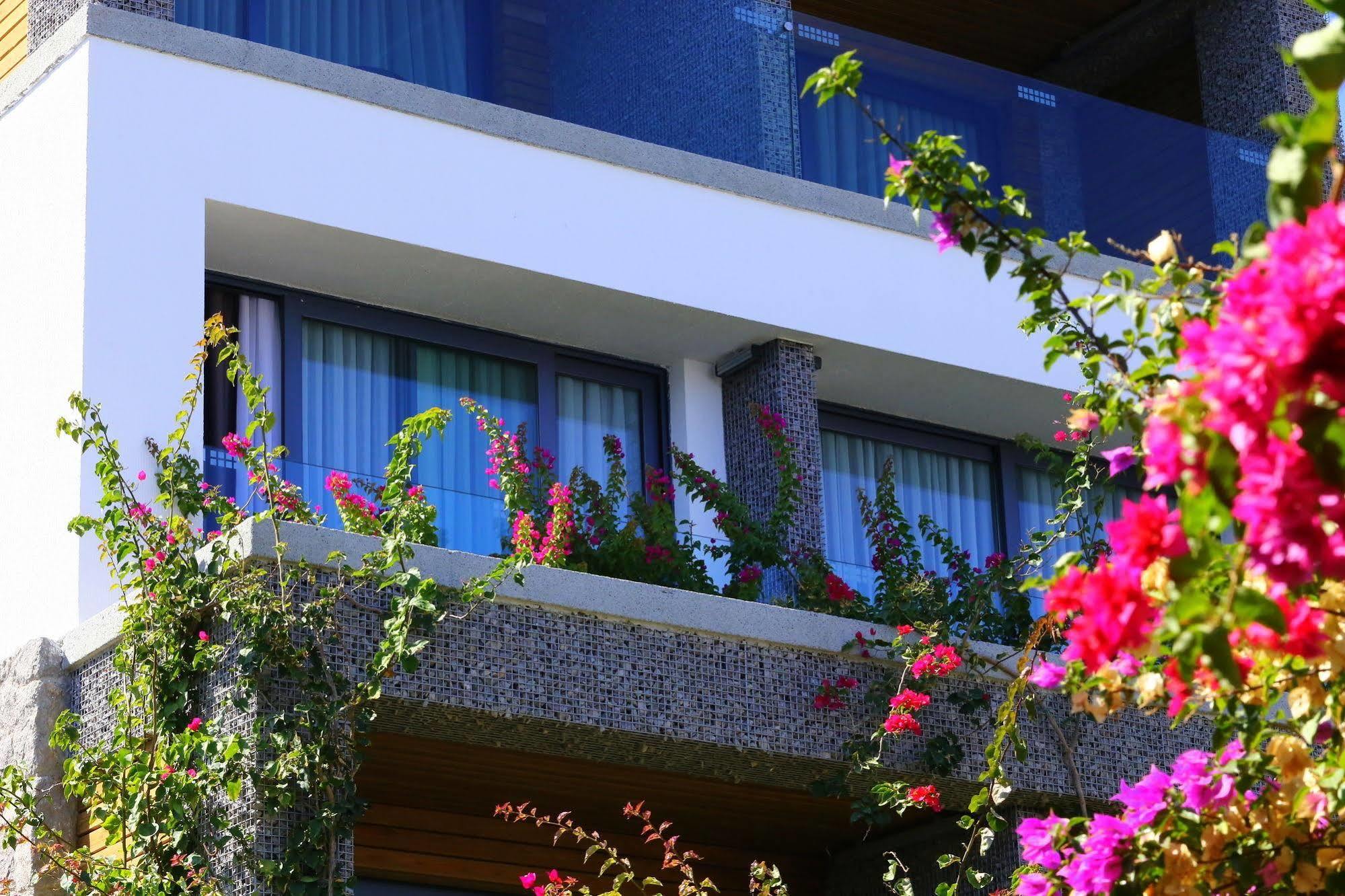 Costa Farilya Special Class Bodrum Gundogan (Bodrum)
