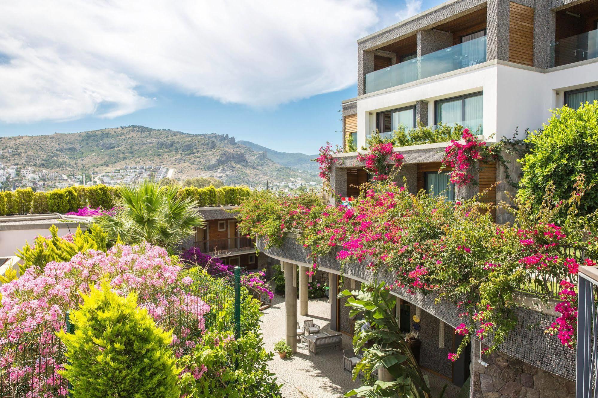 Costa Farilya Special Class Bodrum 4* Gundogan (Bodrum)