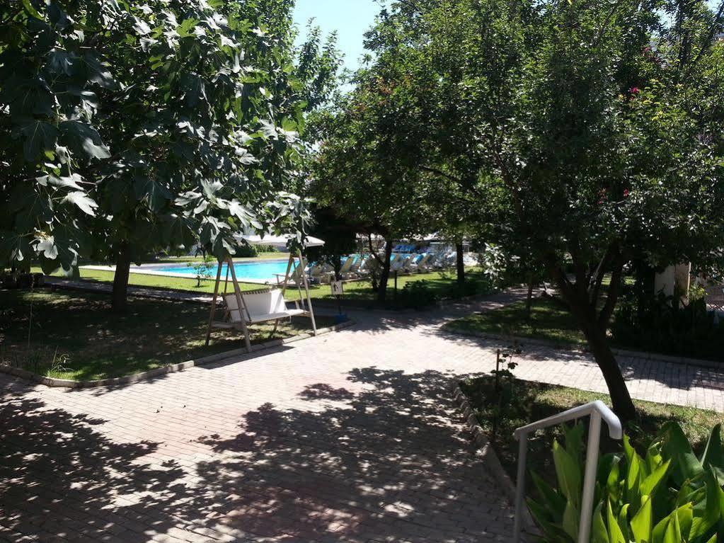 Muskebi 2* Ortakent