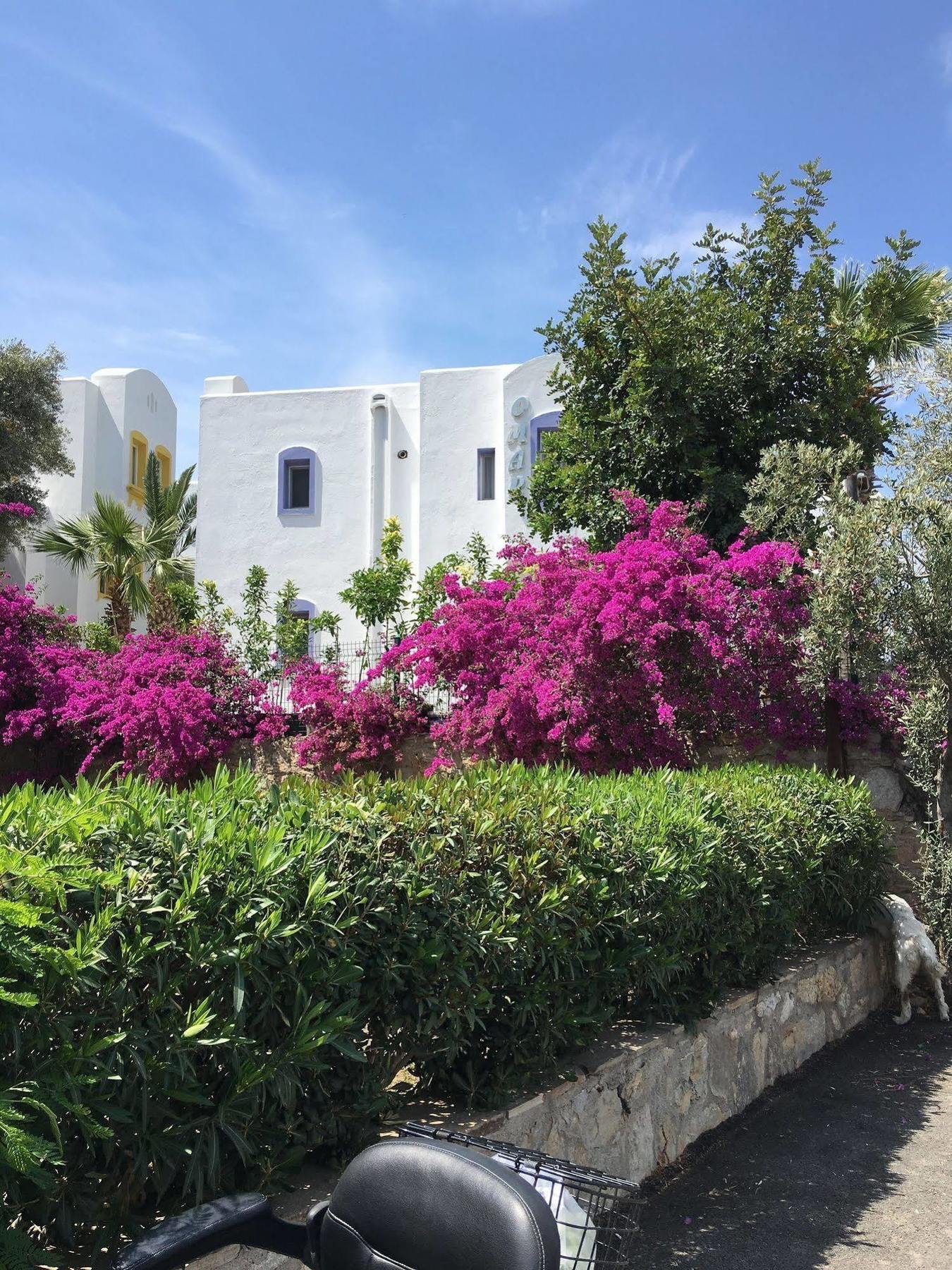 Hotel Omar & Torba