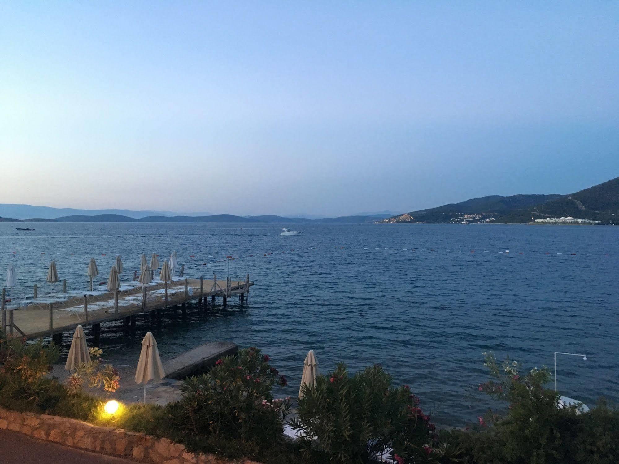 Hotel Omar &