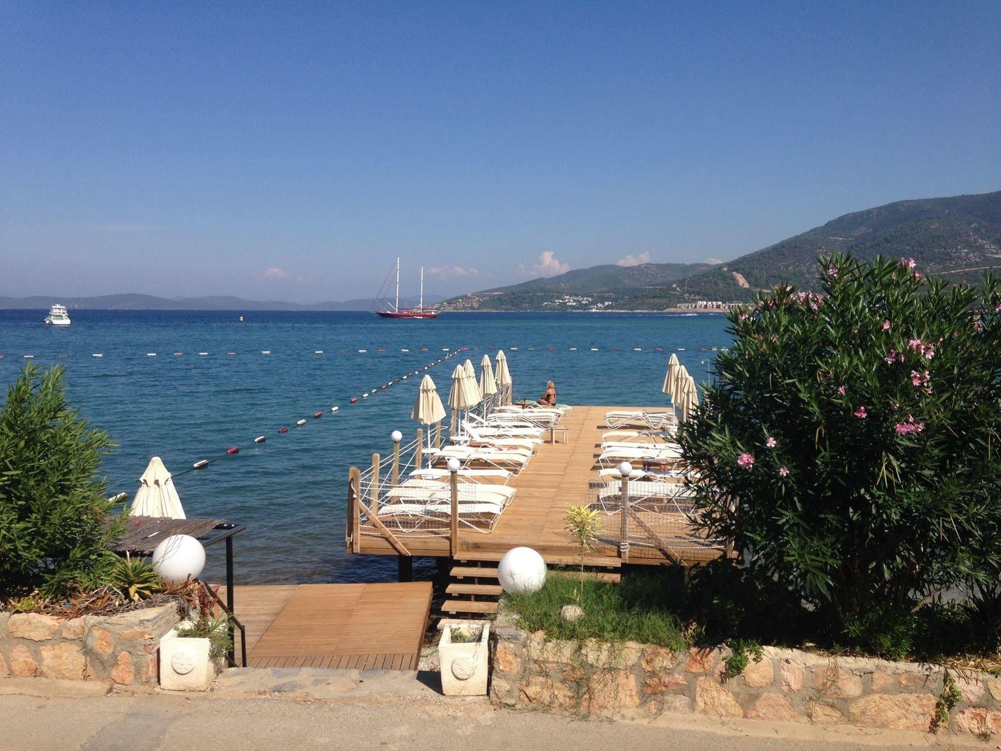 Hotel Omar &