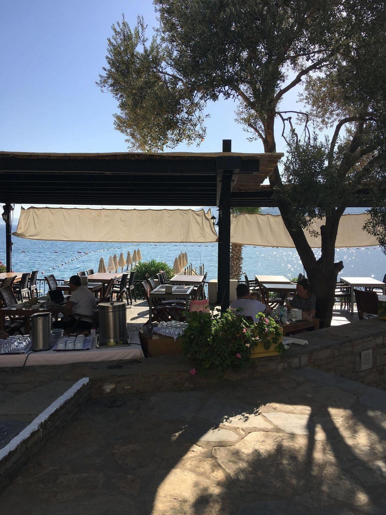 Omar & 3* Torba