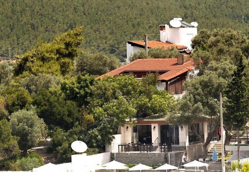 Zena Bodrum Guvercinlik (Bodrum)