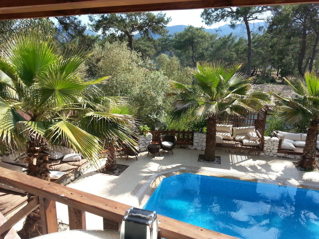 Apartment Kekikhan Olympos
