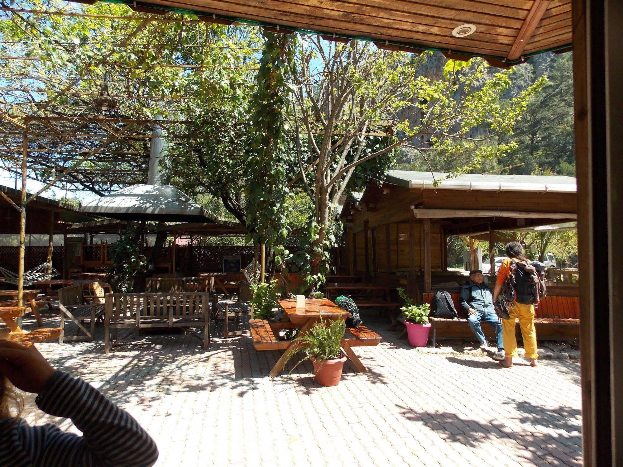 Olympos Orange