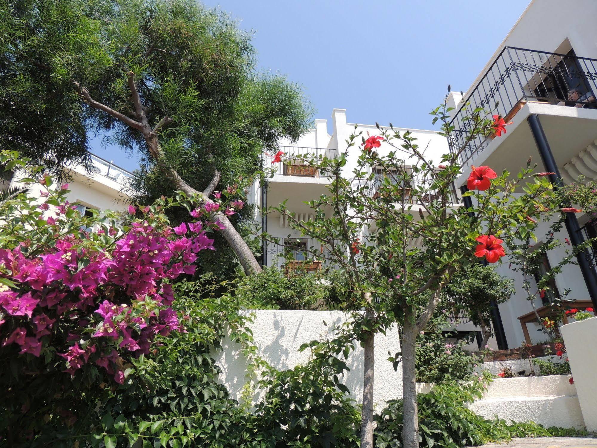 Rosso Verde Hotel Gumbet