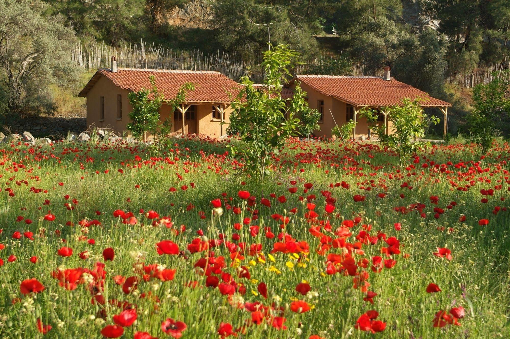Farm stay Pastoral Vadi