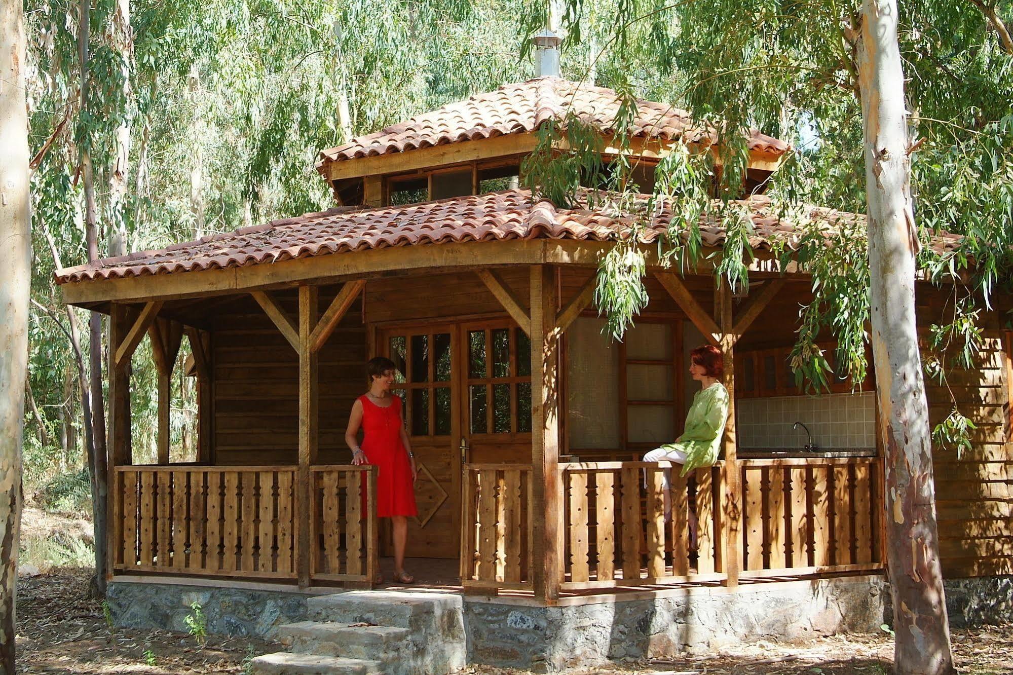 Pastoral Vadi Yaniklar