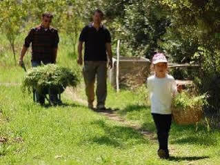 Pastoral Vadi Farm stay