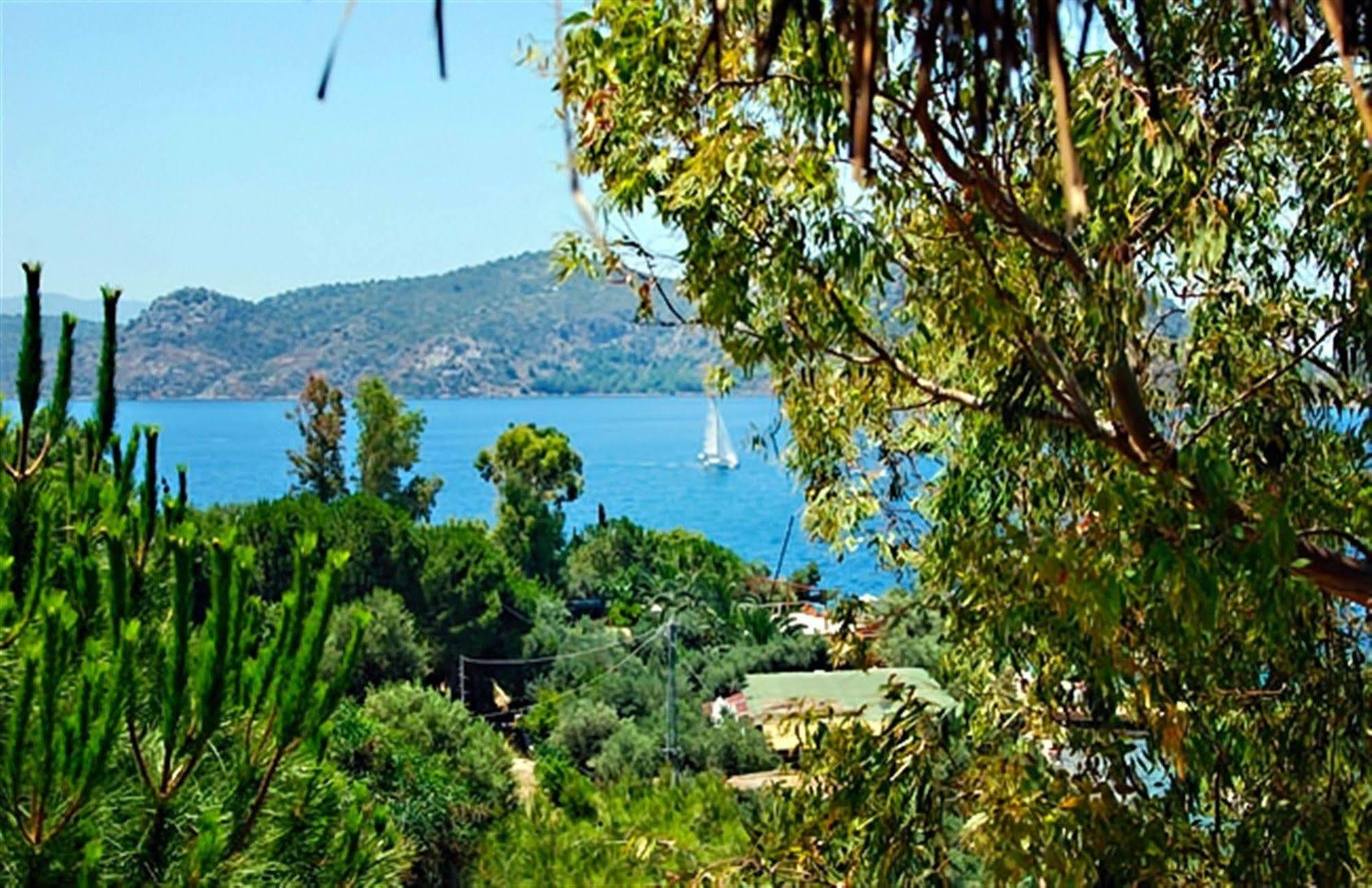 Baldan & Restaurant 4* Bozburun