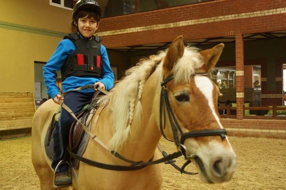 Padok Premium & Stables 4* Gokova