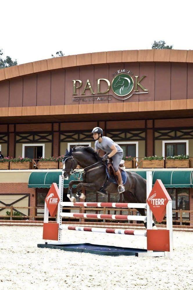 Padok Premium & Stables