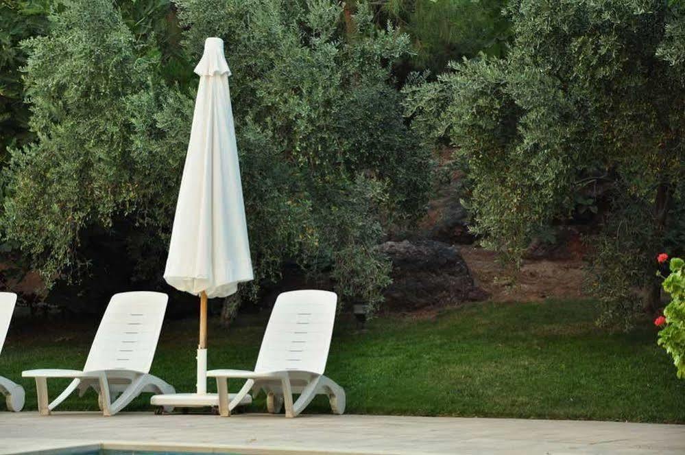 Palm Court Bed & Breakfast 3*