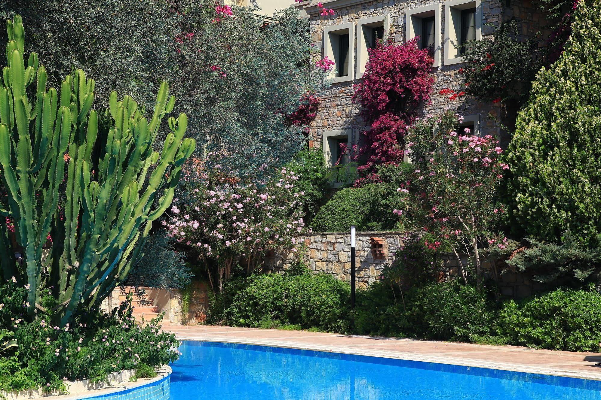Zeytinada Hotel Torba