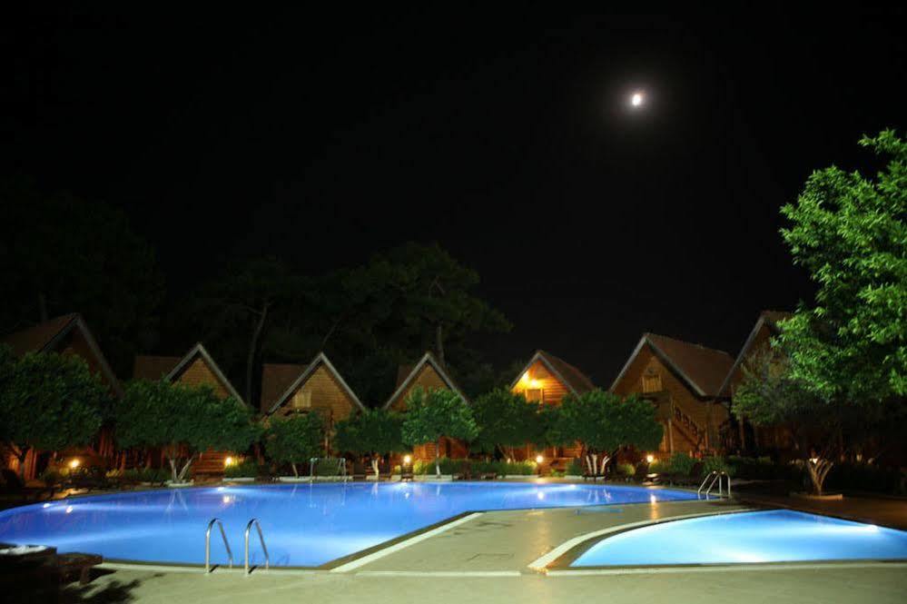 Hotel Woodline 3*