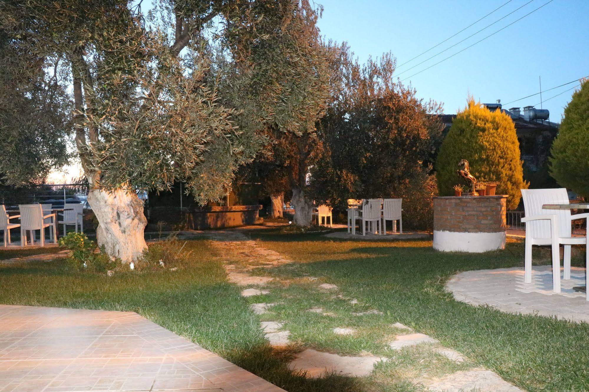 Ege & Guest house