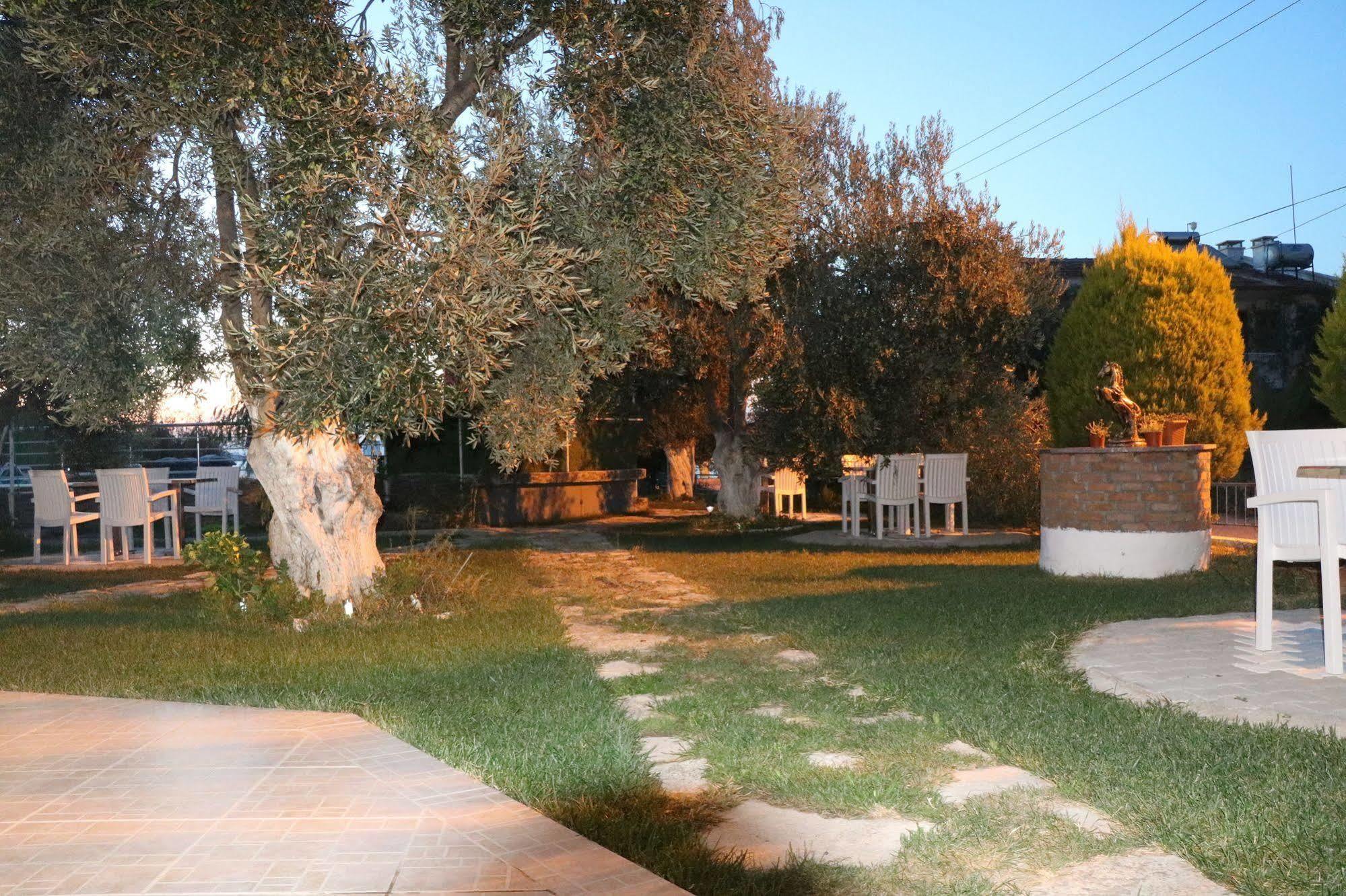 Ege & Guest house