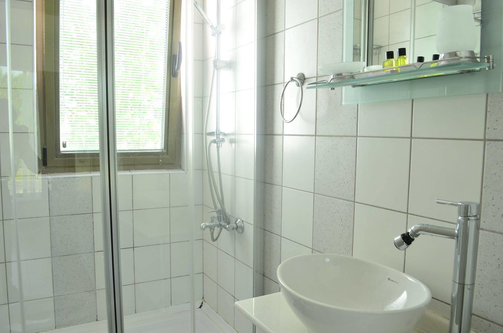 Hotel Violet Park 4*