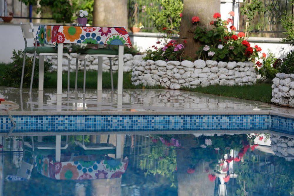 Hotel Ayka *