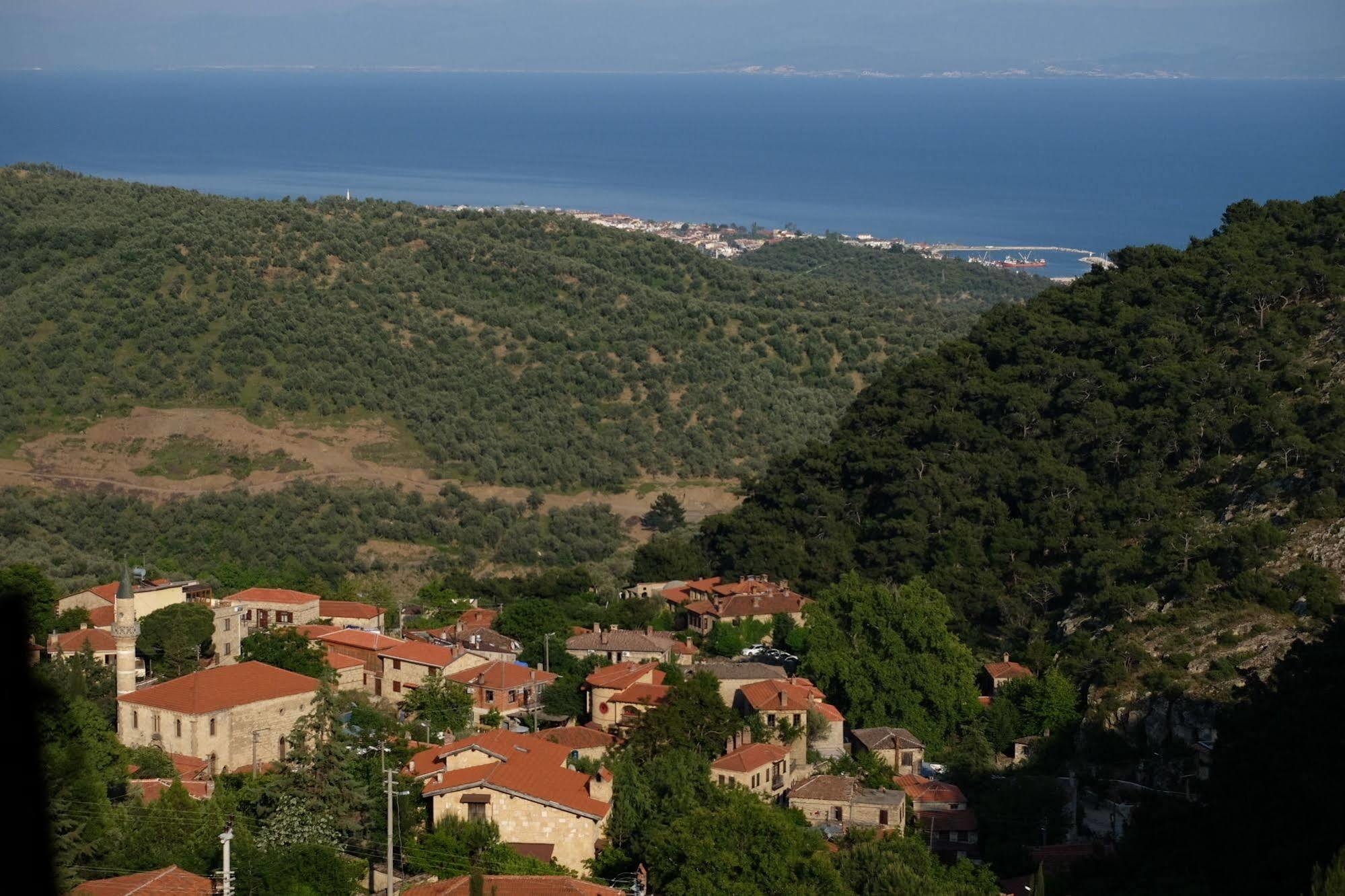 Reis Kazdaglari Hotel 3*