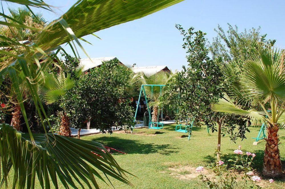 Dream Park Titreyengol
