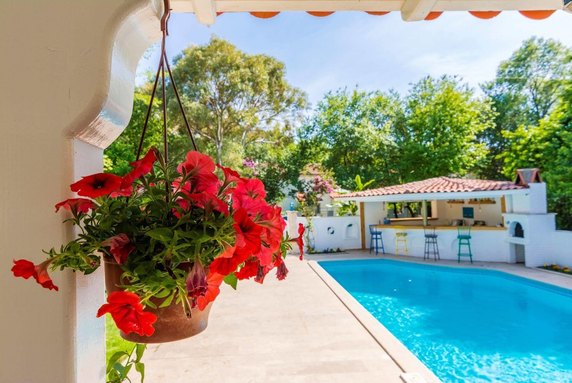 Calypso Cozy Suites (Adults Only) 4*