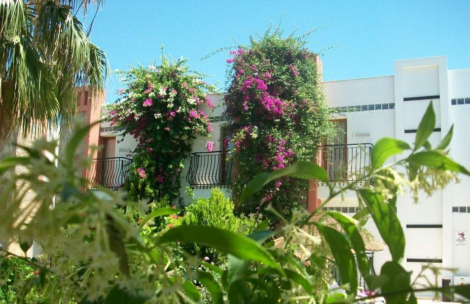 Kriss Hotel Ortakent
