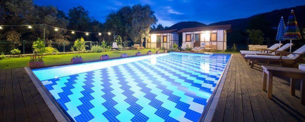 Bed & Breakfast Bal Badem