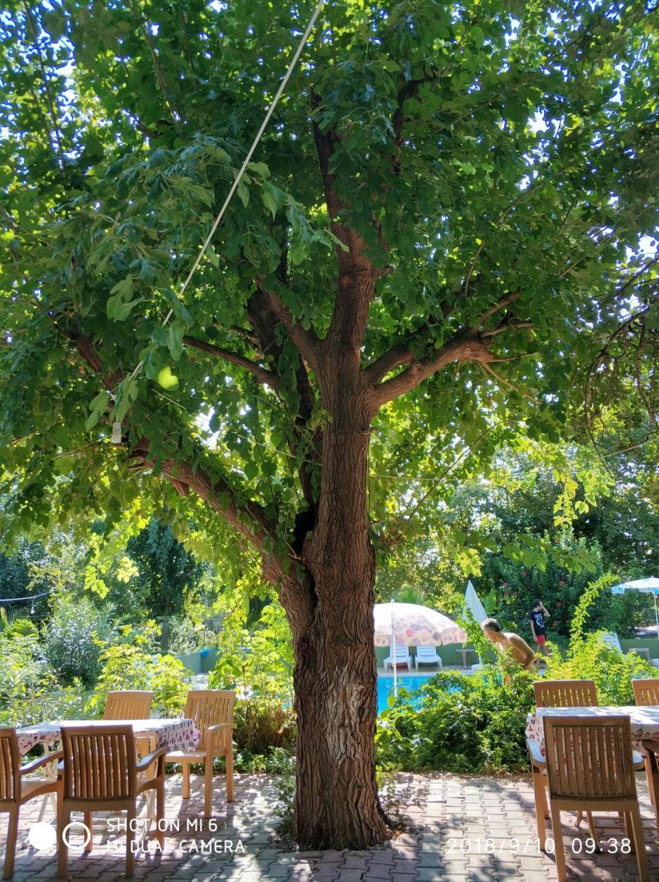 Fire Hotel Cirali