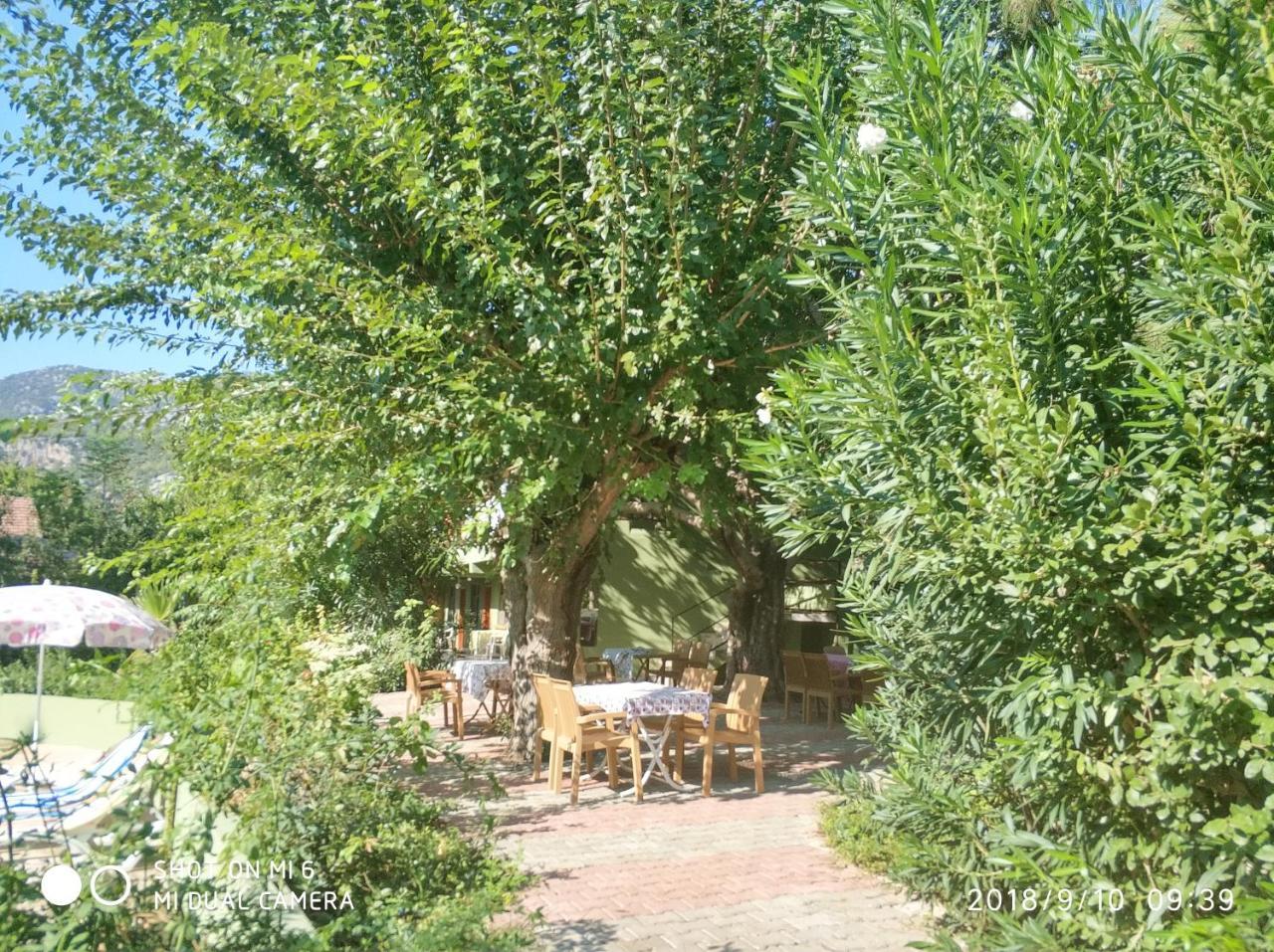 Fire Hotel Cirali