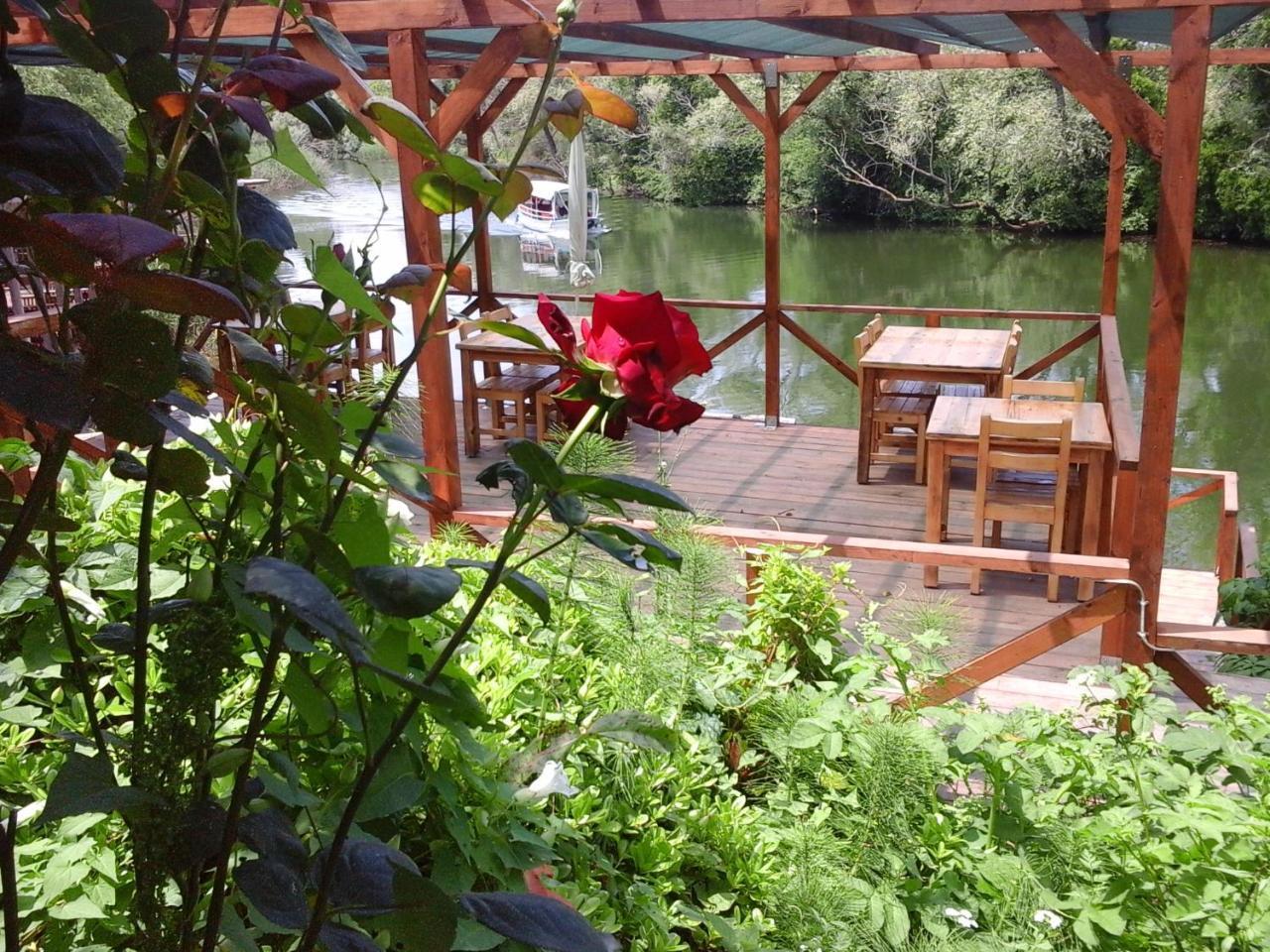 Vira Creek House Agva (Marmara)