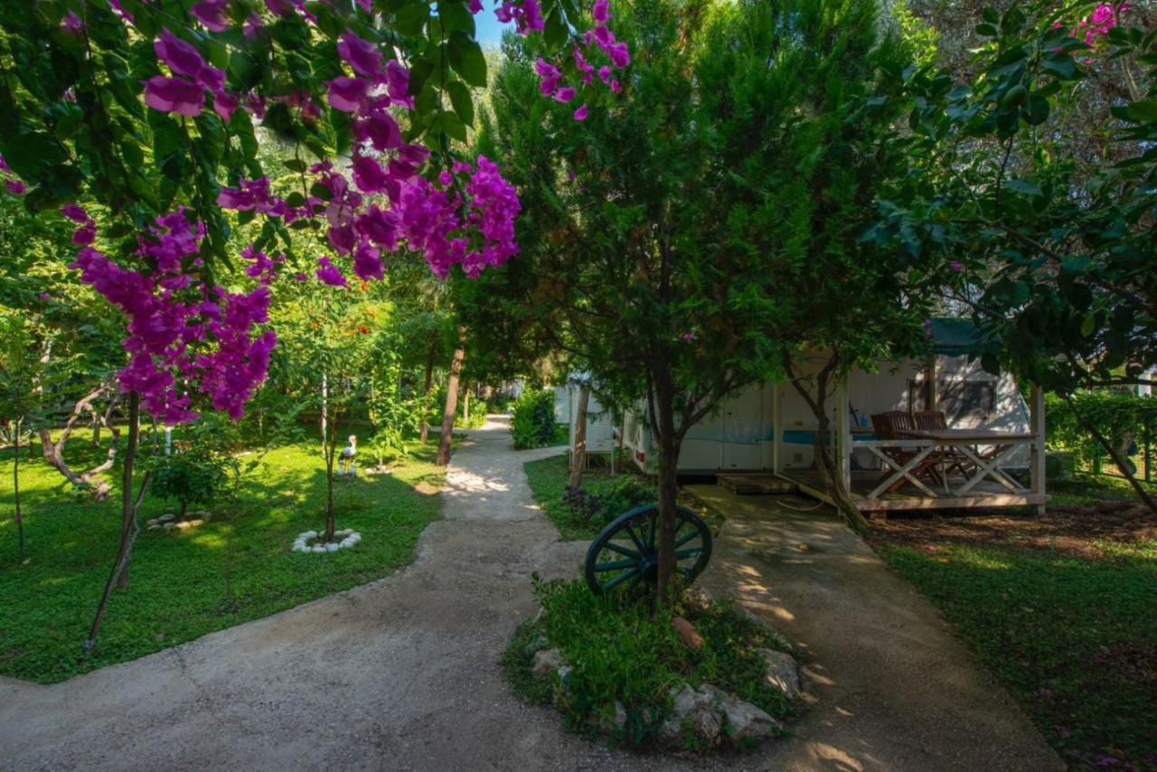 S3 Seahorse Club Hotel Oludeniz