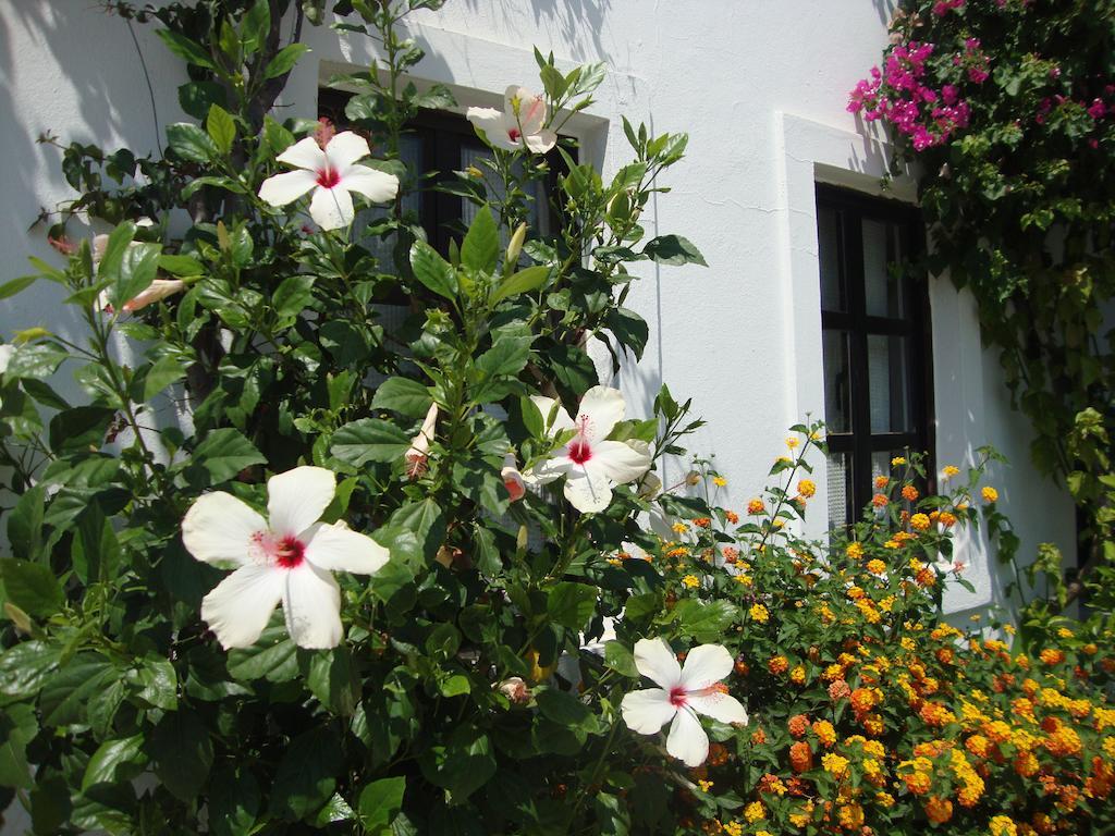 Apartment Mimosa Gumbet