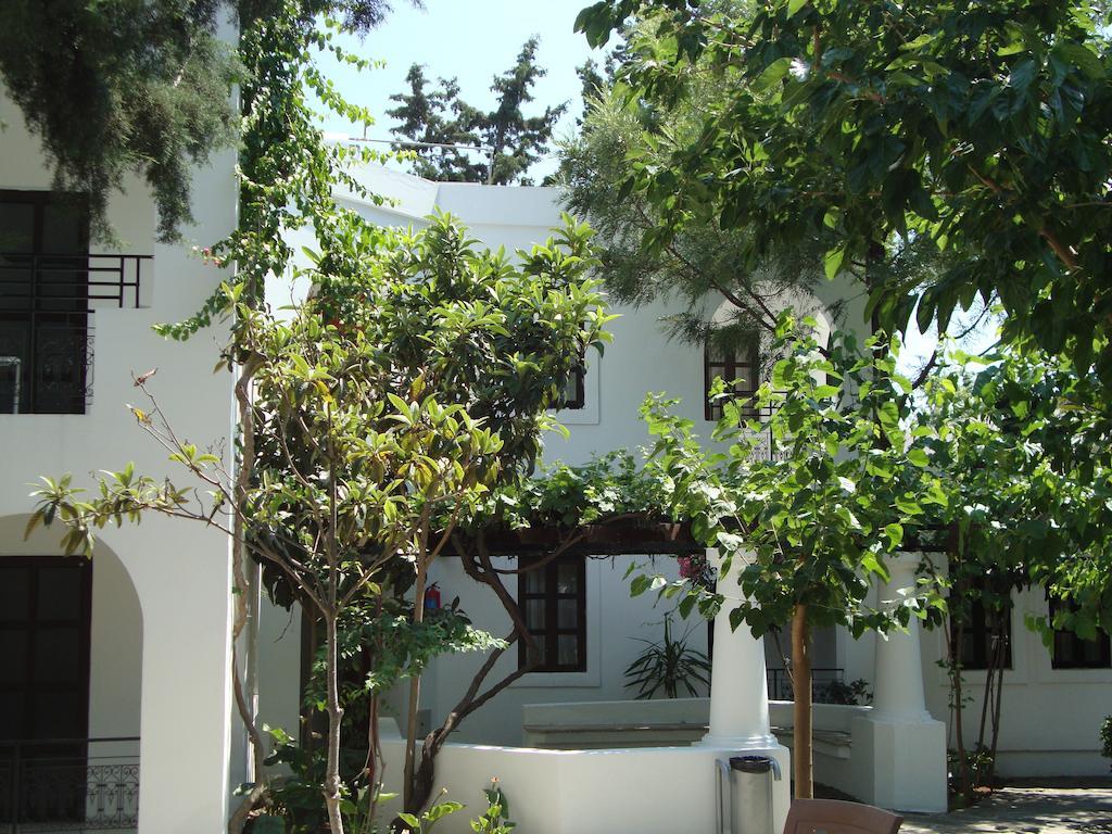 Mimosa Apartment Gumbet