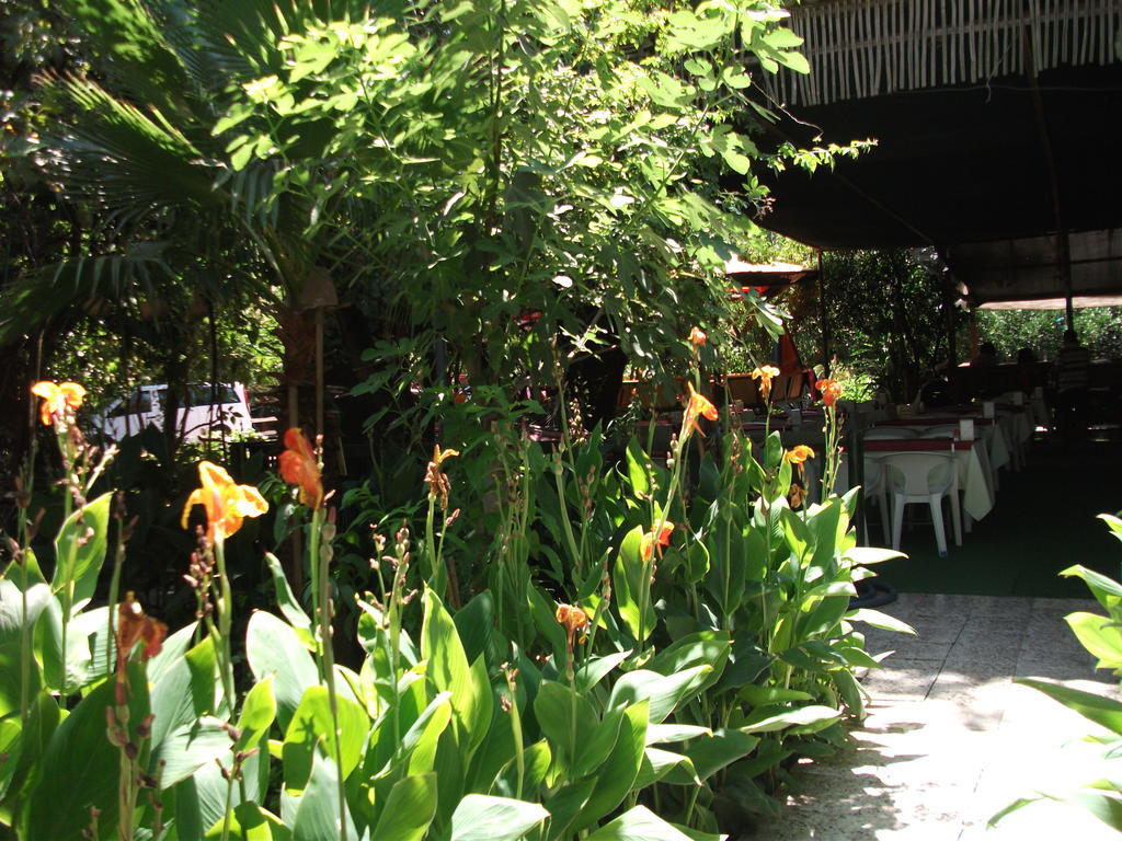 Hotel Adrasan Gelidonya Hotel Adrasan