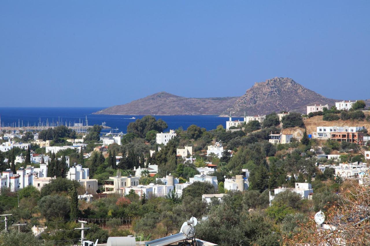 Hotel Sandima 37