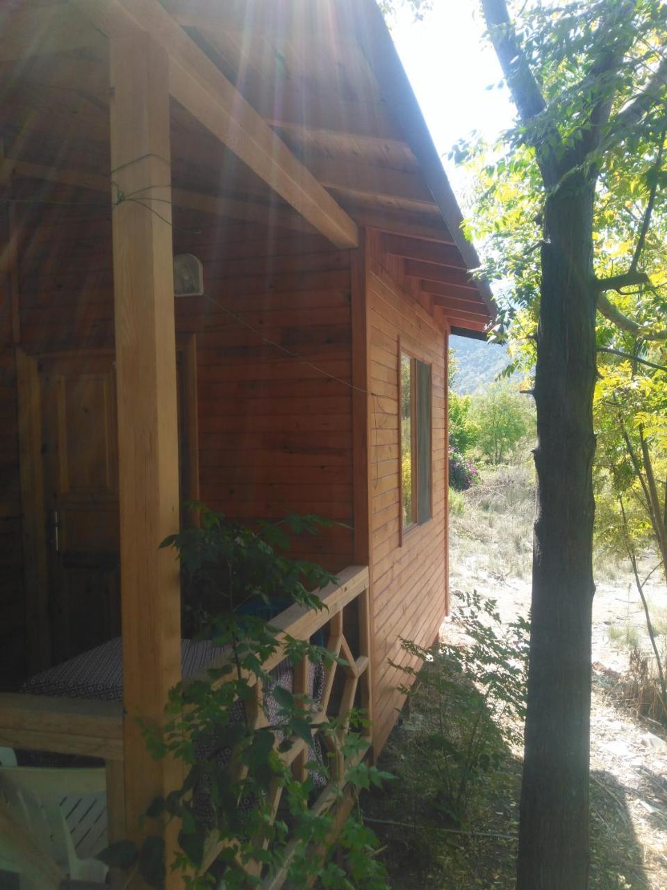 Fire Hotel 3*