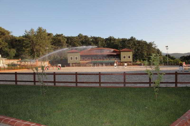 Padok Premium & Stables Hotel